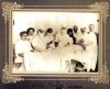 Αναισθησία με την συσκευή Ombredanne στο χειρουργείο της Πολυκλινικής Αθηνών 1910. (5)